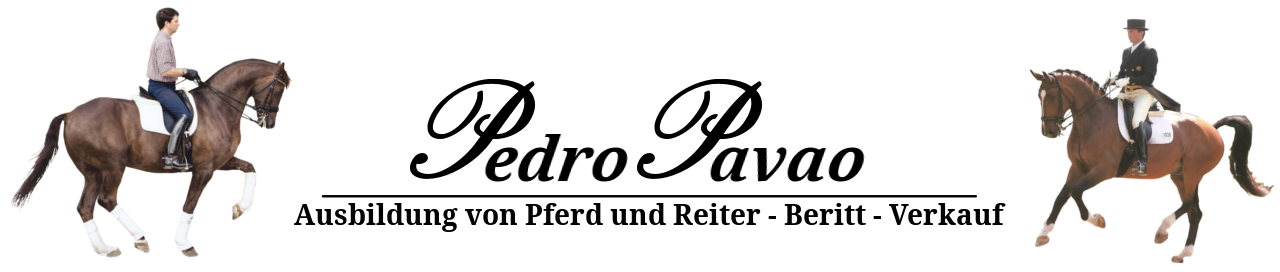 Header Image - navigate to homepage